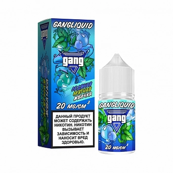 Ар Gang SALT "Ледяная Мятная Жвачка" 30-20